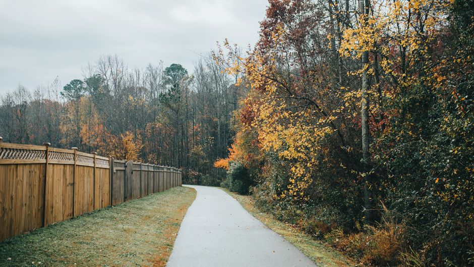 A Balanced Approach To Wellness: Myths and Facts