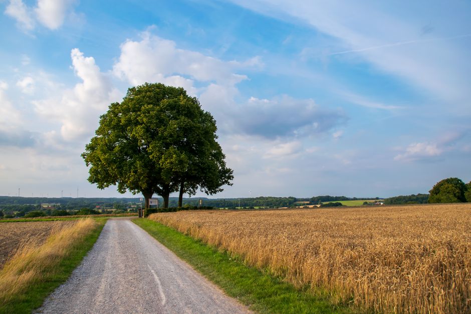 A Sensible Look at Tracking, Measuring And When To Stop, Day by Day
