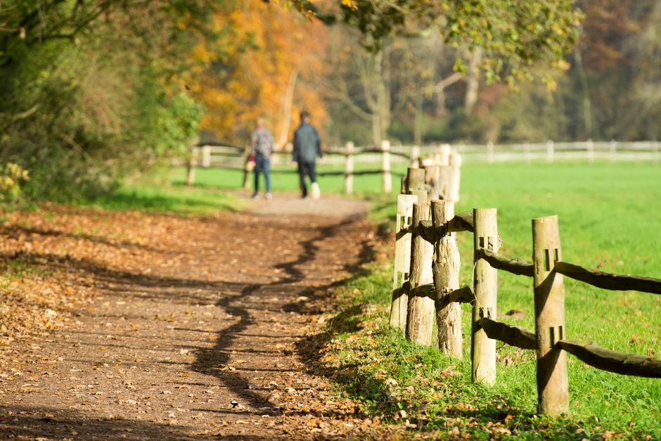 A Step-by-Step Look at Wellness At Different Life Stages