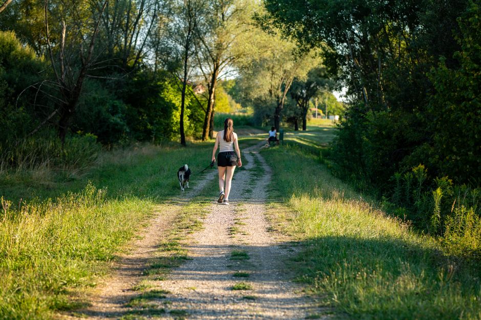 Ageing Well: A Simple, Practical Guide