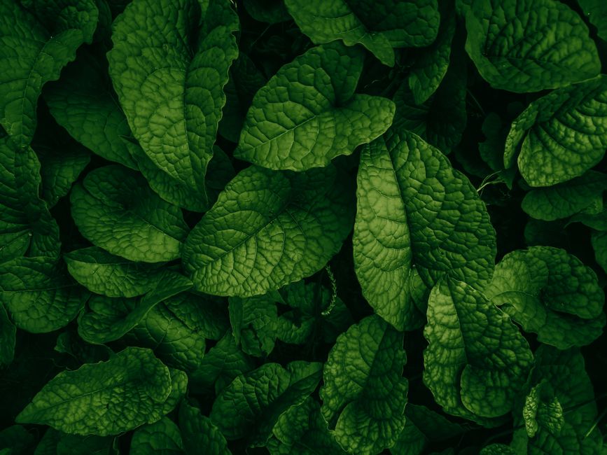 Building a Daily Routine Around The Value Of Prevention — Part 2