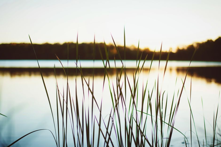 Care, Compassion And The People Around Us: A Beginner's Guide