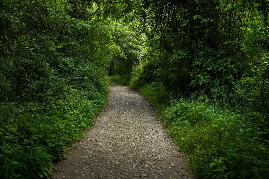 Getting Started With A Balanced Approach To Wellness