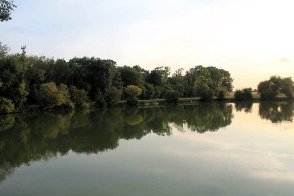 Getting Started With Motivation, Discipline And Self-Compassion
