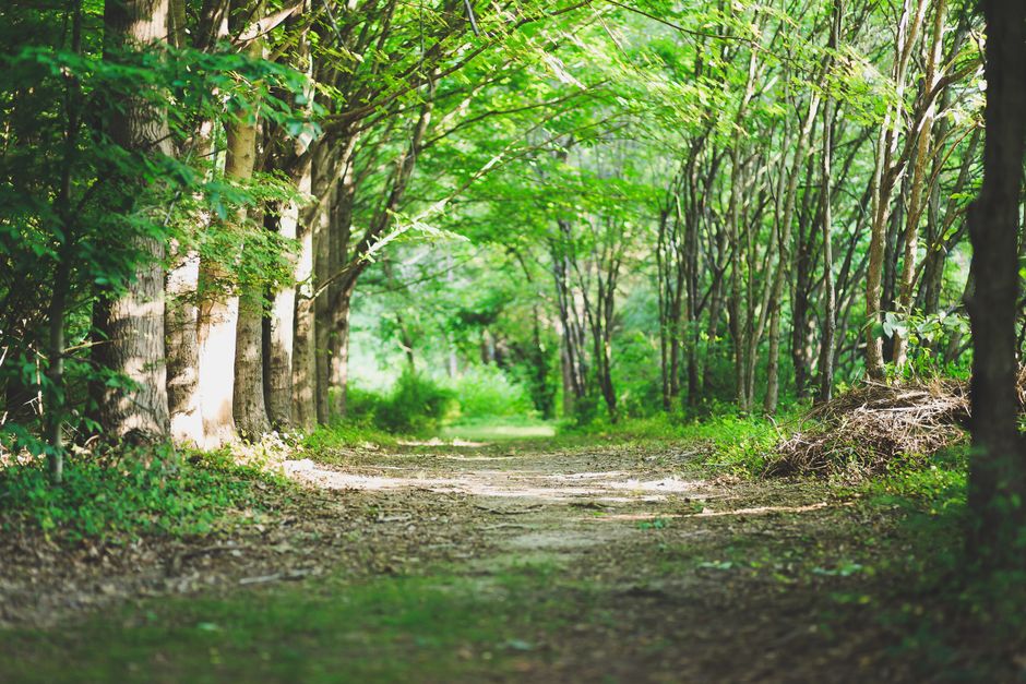 Getting Started With Wellness At Different Life Stages — Part 2