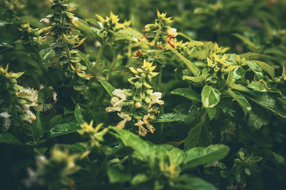 Hydration, Breath And The Overlooked Basics: Making It Part of Your Day — Part 2