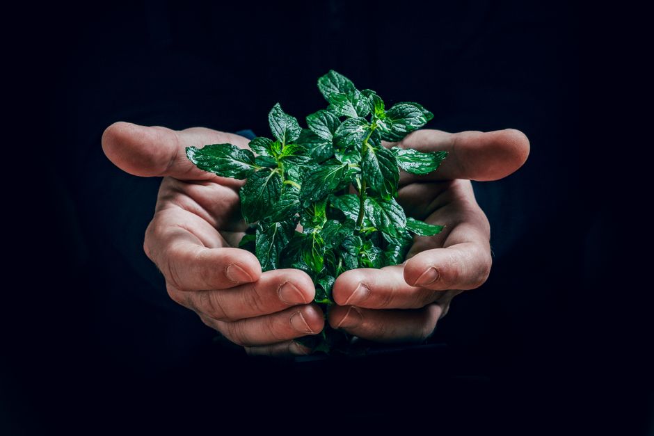 Hydration, Breath And The Overlooked Basics: Making It Part of Your Day