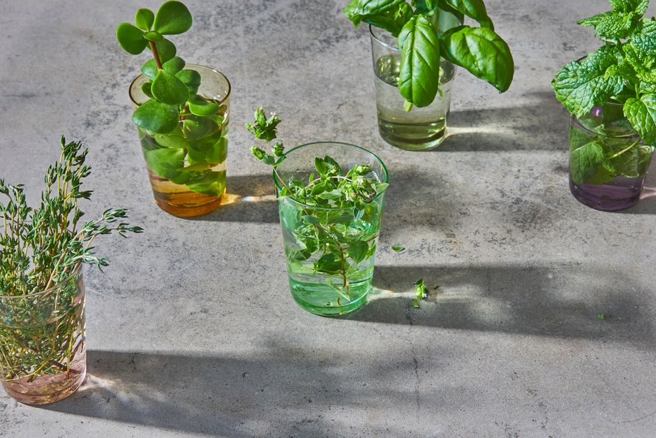 Keeping Daylight, Time Outdoors And The Body Clock Simple, Without Overthinking It