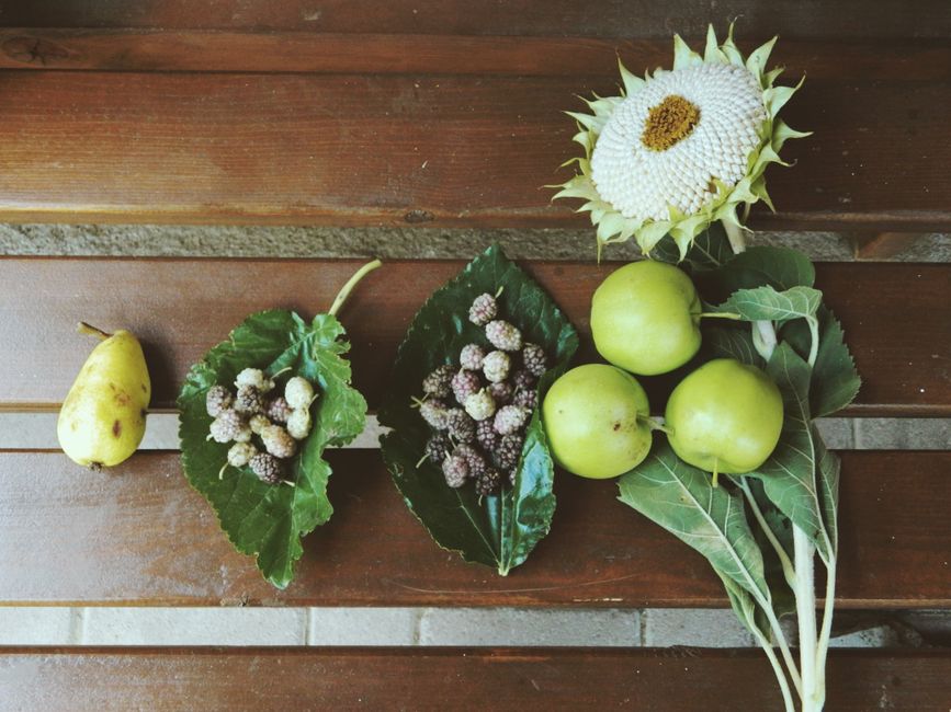Living Well With Weight, Health And The Number On The Scale in Mind, One Step at a Time