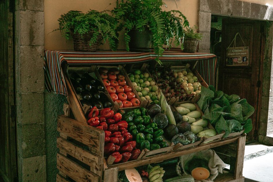 Metabolism: What It Is And What It Is Not Without the Guesswork, the Honest Way