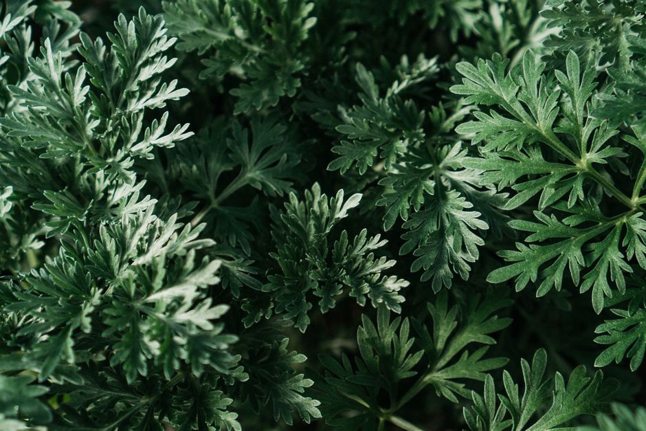 Seasonal Changes And How The Body Responds as the Years Add Up, Made Simple