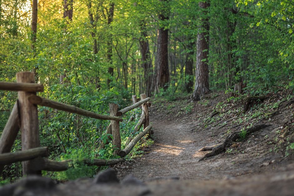 Simplicity As A Health Strategy: A Simple Checklist