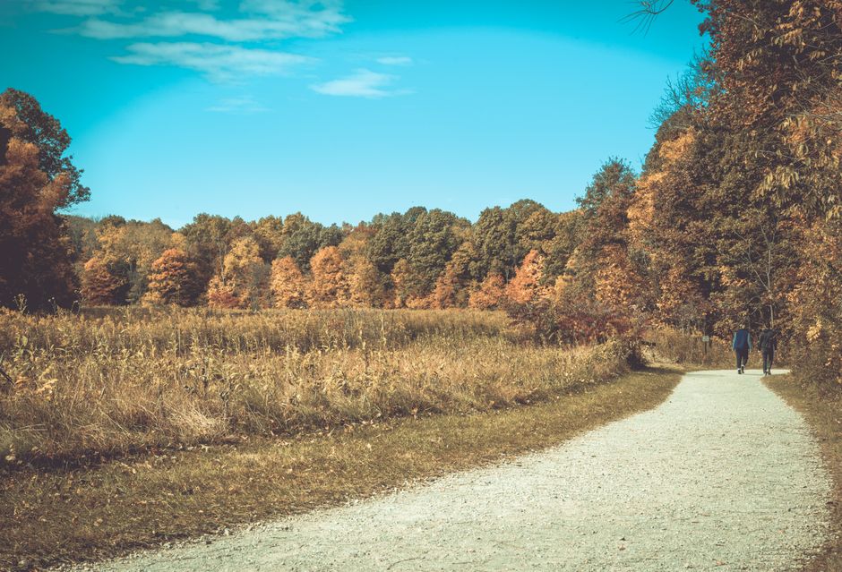 Simplicity As A Health Strategy for Busy People
