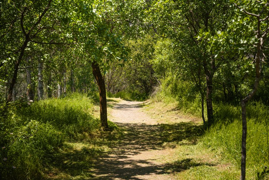 Starting Again After A Setback in Your 40s, 50s and Beyond