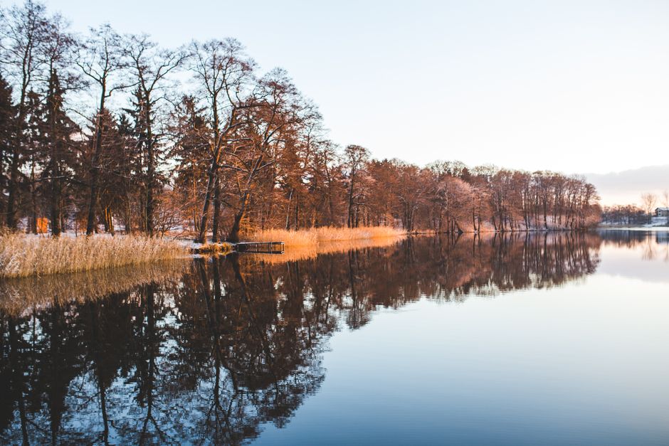 The Connection Between Body And Mind: Where to Start