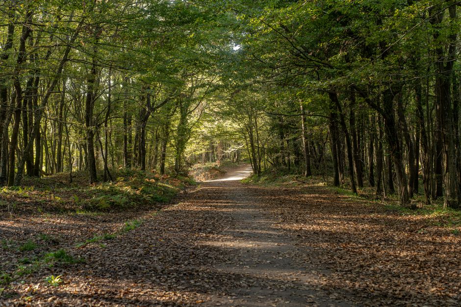 The Habit Of Moving Through The Day: A Simple, Practical Guide