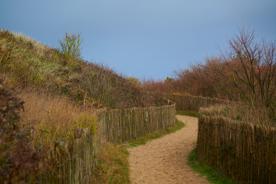 The Ordinary Virtues Of Walking: A Time-Friendly Approach