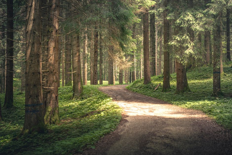 The Ordinary Virtues Of Walking: What Actually Works