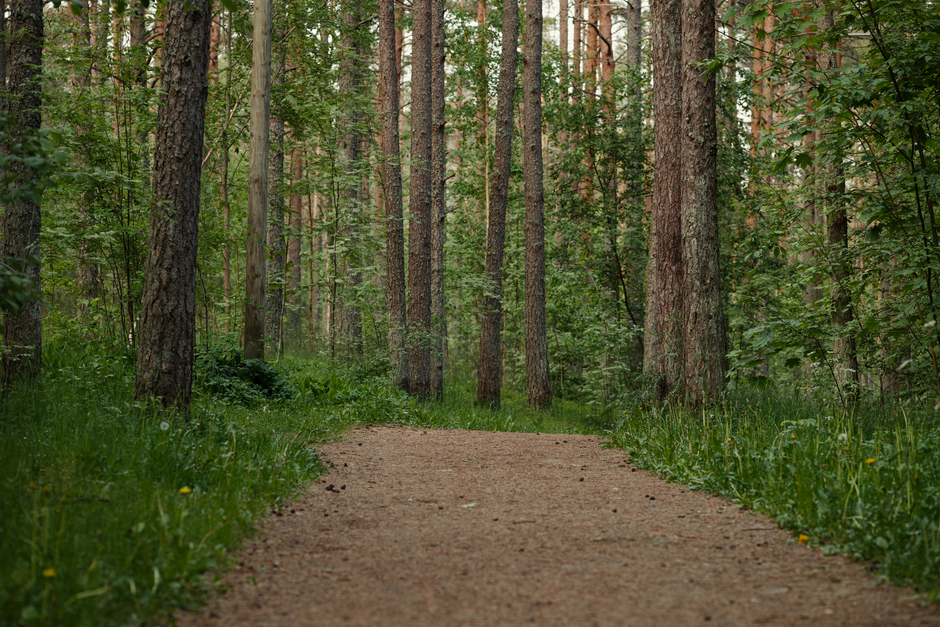 The Pleasure Principle In Healthy Living for Busy People