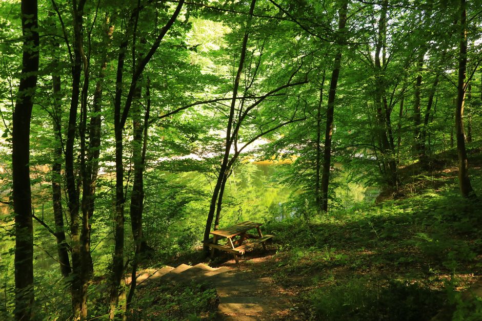 The Value Of Prevention as a Daily Habit