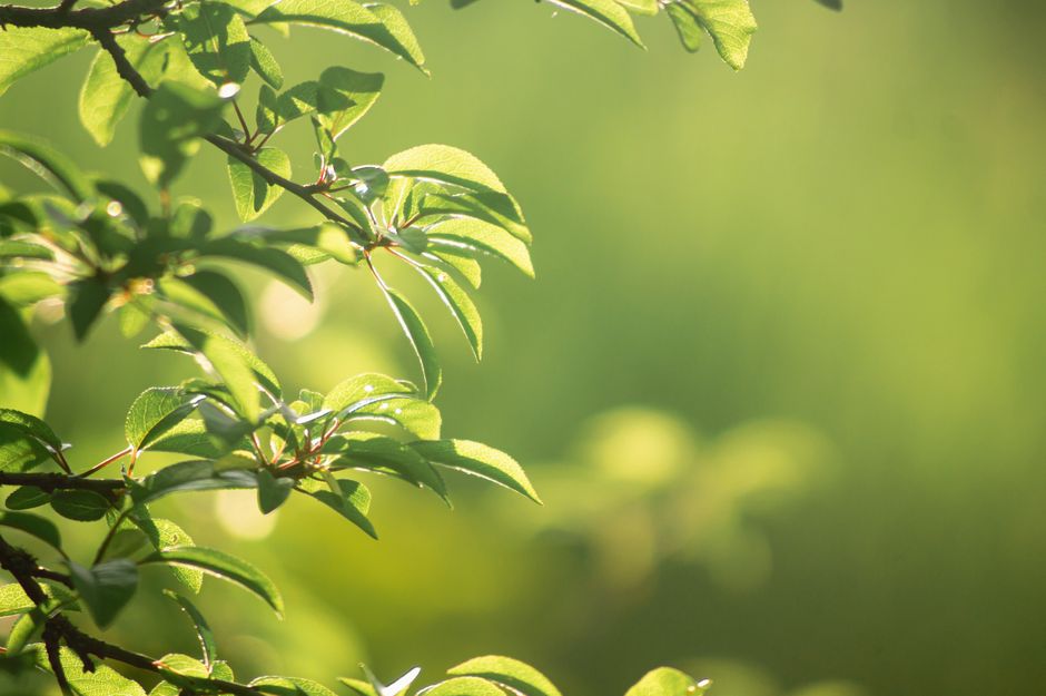 The Value Of Prevention: What Actually Works — Part 2