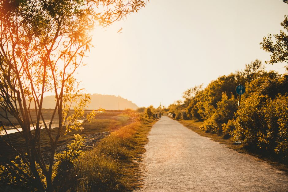 Wellness At Different Life Stages: A Simple, Practical Guide