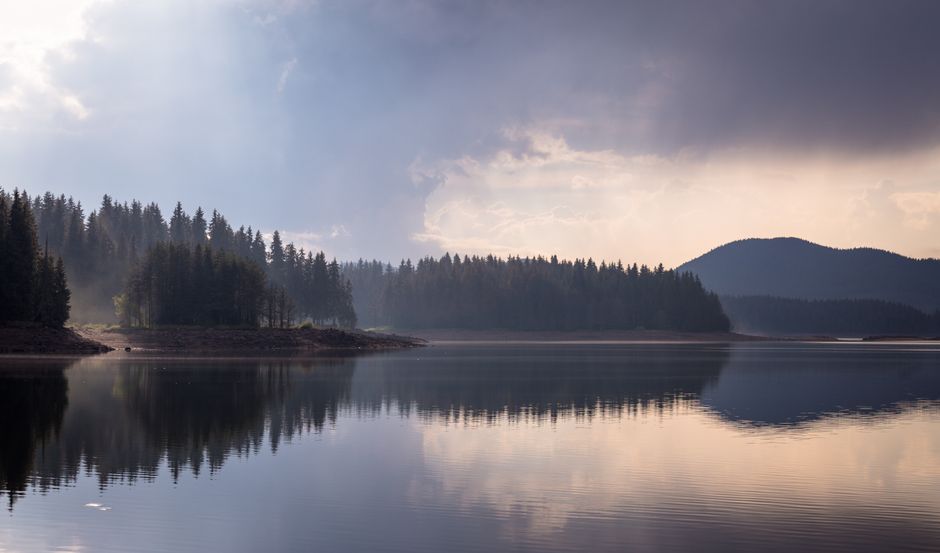 Wellness Without Perfectionism: Practical Steps You Can Use