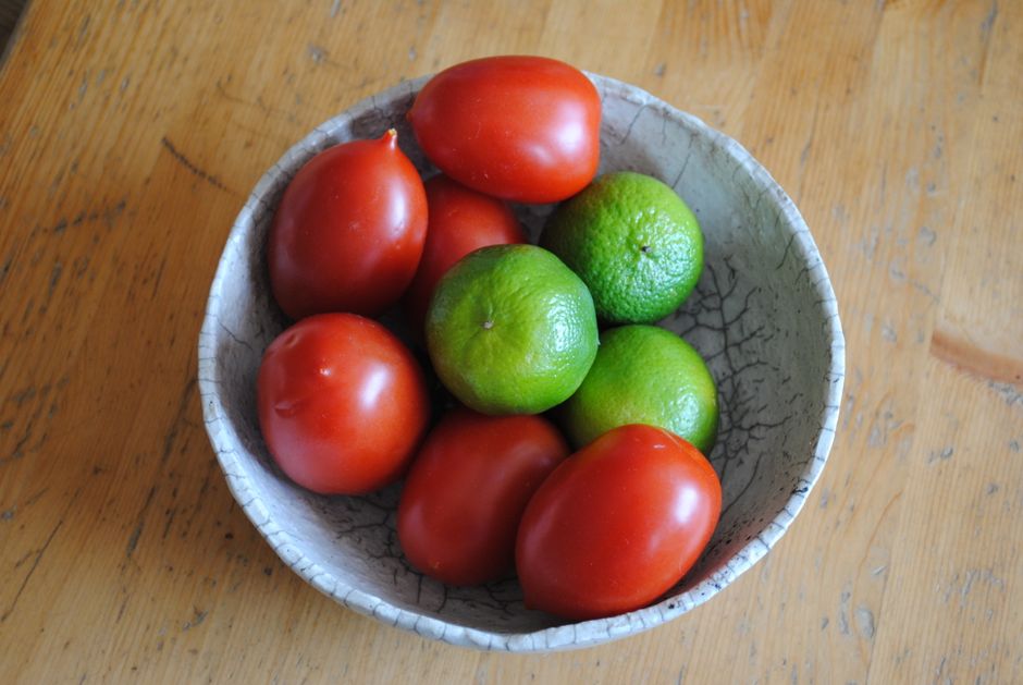 What Nobody Tells You About Metabolism: What It Is And What It Is Not, Made Simple