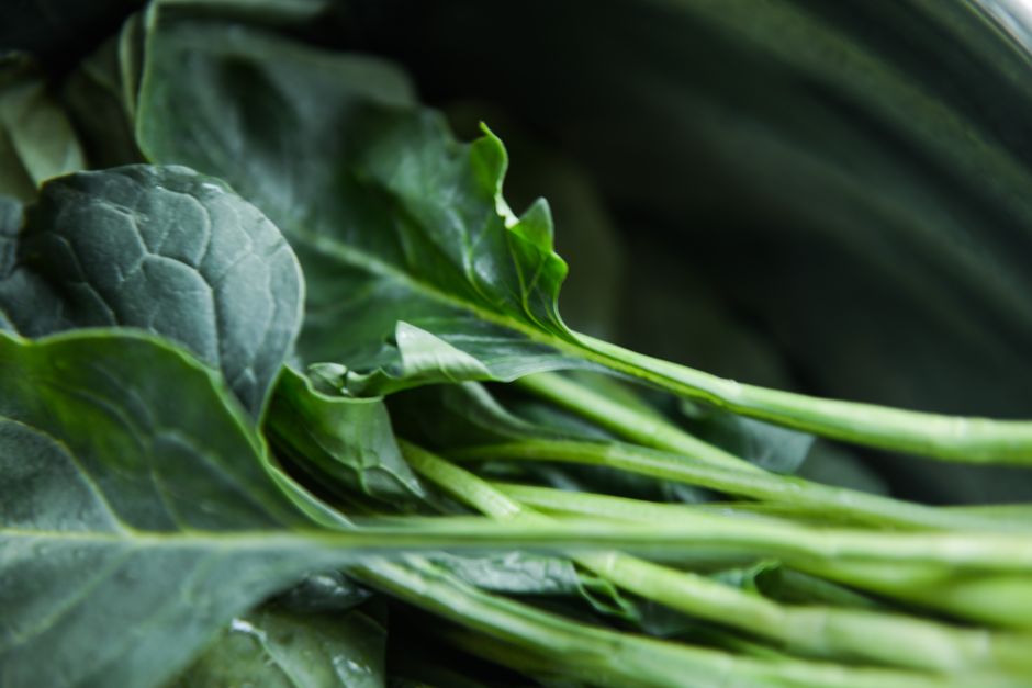 What Supplements Can And Cannot Do: Practical Steps You Can Use