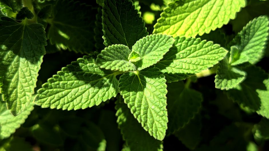 Where People Go Wrong With Hydration, Breath And The Overlooked Basics